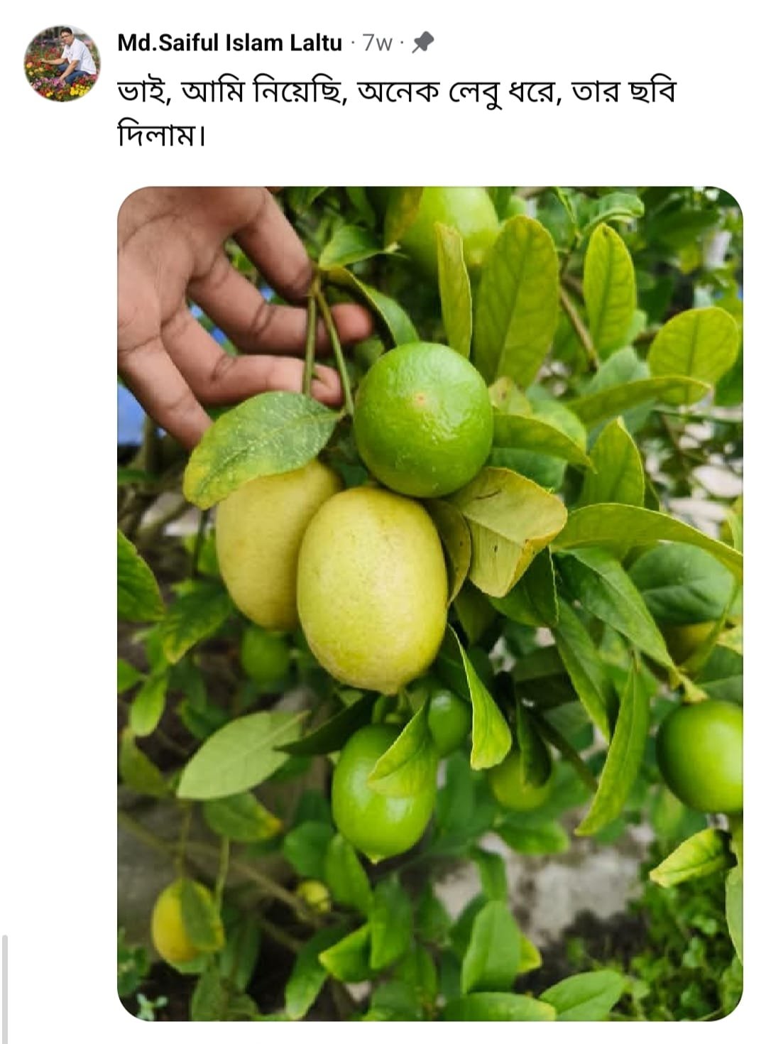 38efa8e3-1dc9-4b40-bf5c-167dfcfaf20a