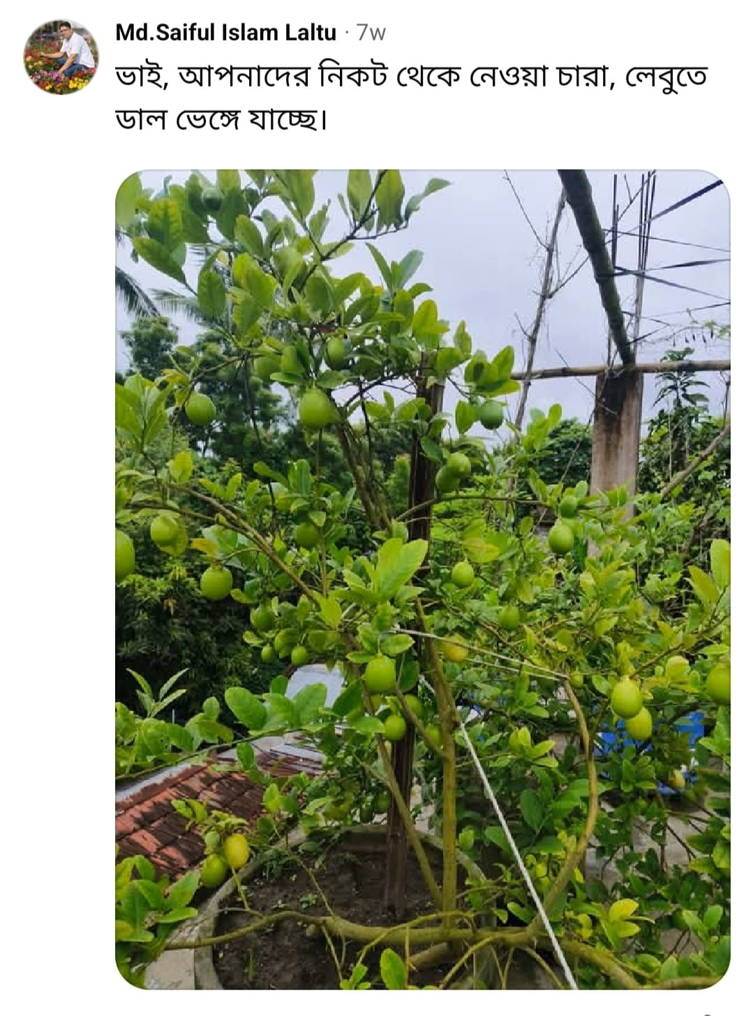 4f589672-3d1c-4ca6-9a08-0b63e1724dca